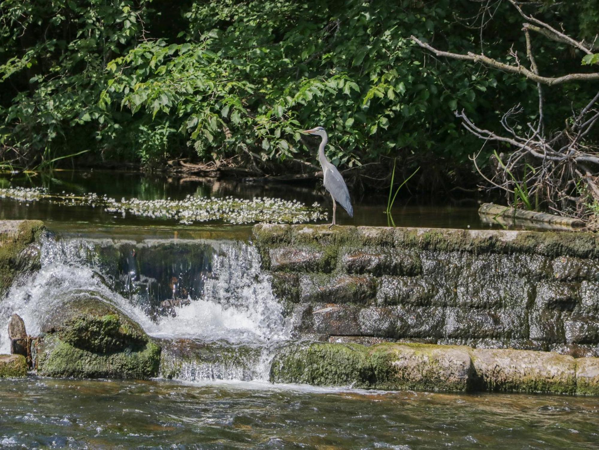 21 Eamont Park Villa Penrith Exteriör bild